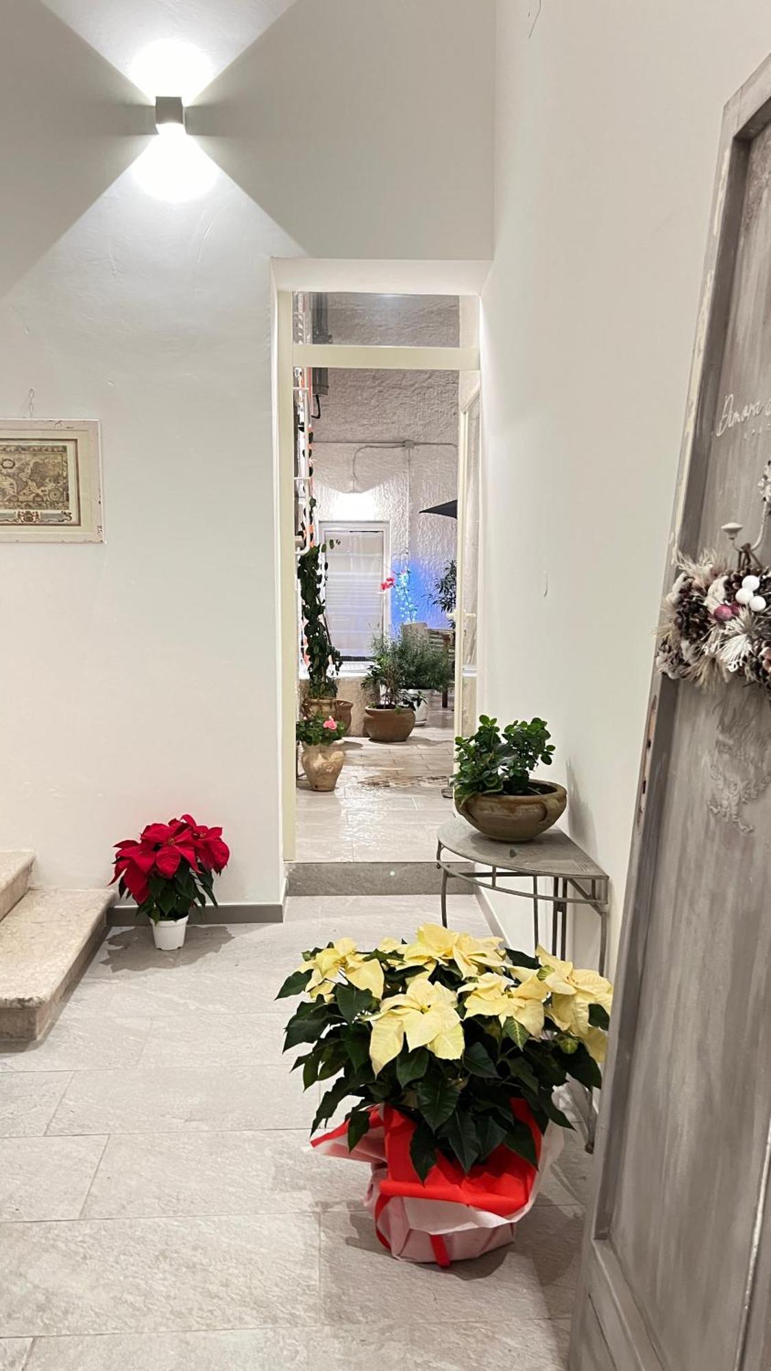 Dimora Donna Vitalia Apartments 特拉帕尼 外观 照片