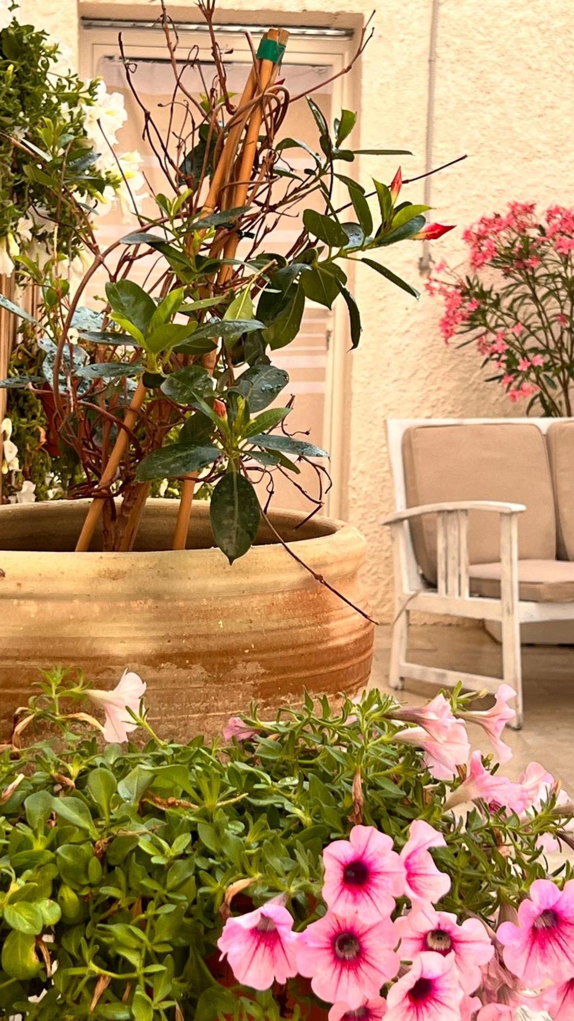 Dimora Donna Vitalia Apartments 特拉帕尼 外观 照片